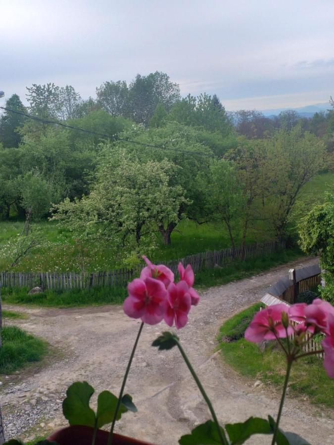 Casa Alina Breb Vendégház Kültér fotó